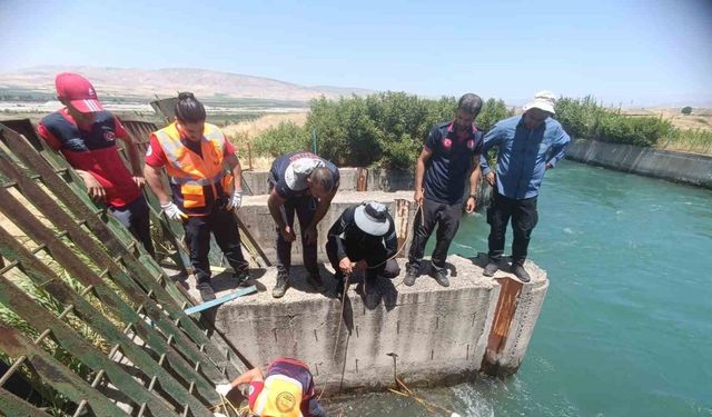 Sulama kanalında kaybolan çobanı arama çalışmaları sürüyor