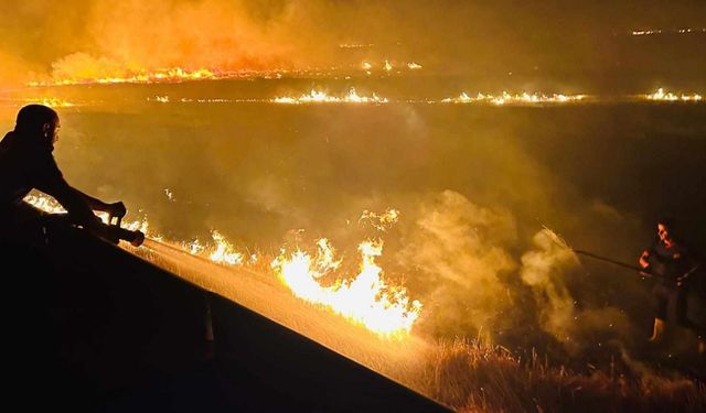 Cizre'de çıkan anız yangını söndürüldü