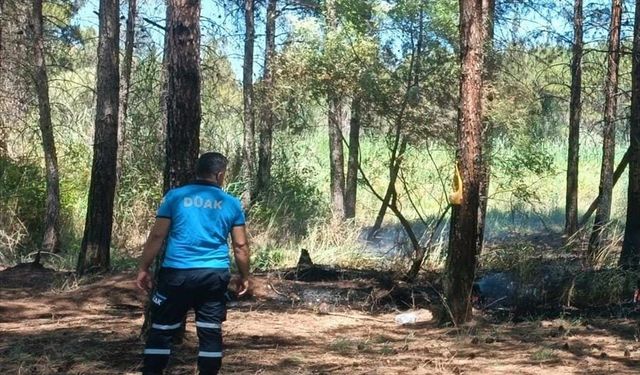 Dicle Üniversitesi yerleşkesinde çıkan yangın söndürüldü