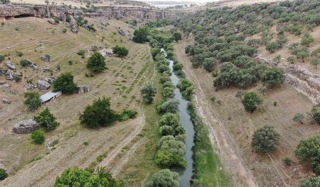 Sıcaktan bunalan vatandaşlar sulak ve serin yerleri tercih ediyor