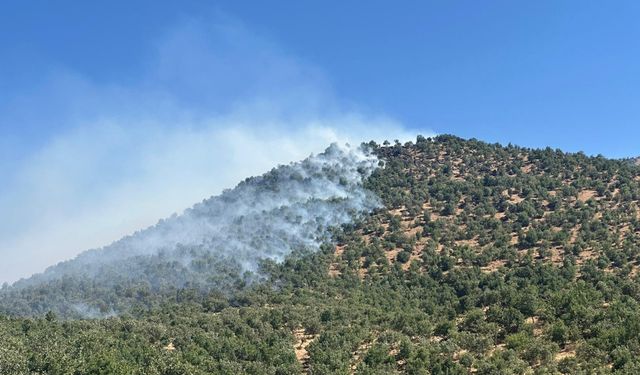 İlçede çıkan yangına müdahale ediliyor