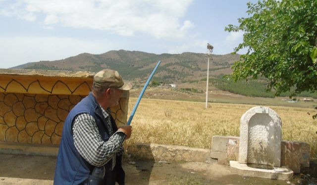 Elektrik direği 20 yıldır leyleklere yuva oluyor