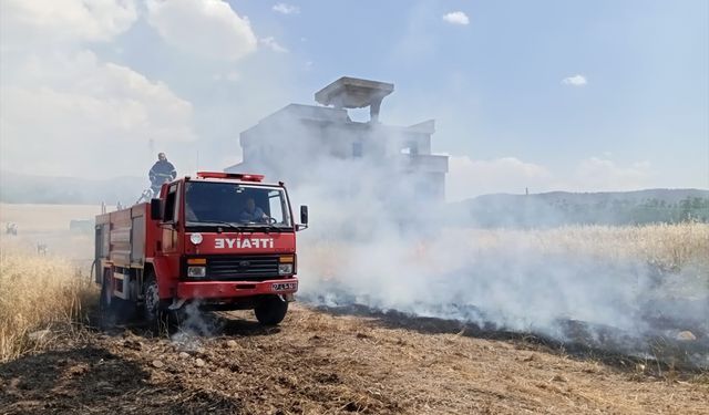 32 dönümluk buğday ekili alan yandı