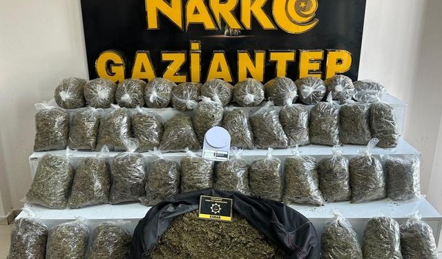 56 kilo esrar ele geçirildi. 7 Kişi tutuklandı