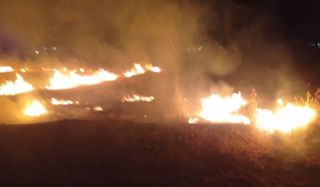 Gece saatlerinde çıkan yangın kısa sürede söndürüldü