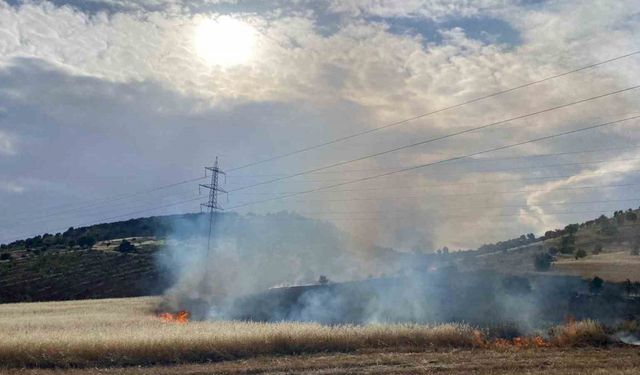 Gölbaşı ilçesinde arpa tarlası yandı