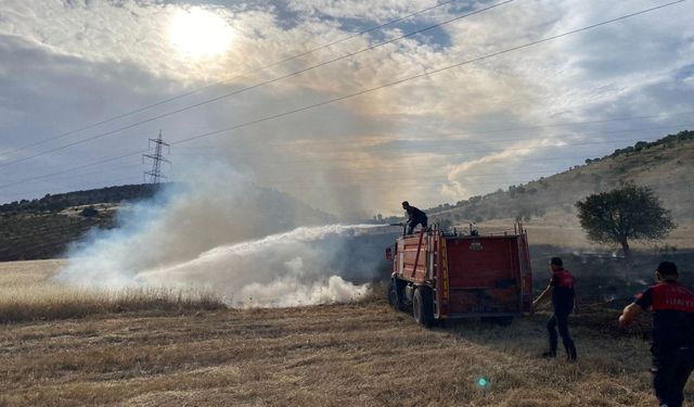 Gölbaşı'nda 50 dönümlük ormanlık alan yangında zarar gördü