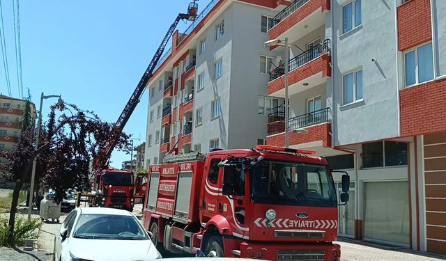 Malatya'da bir apartman çatısında yangın çıktı  - Videolu Haber