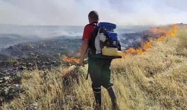 3 Ayrı noktalar'da anız yangını