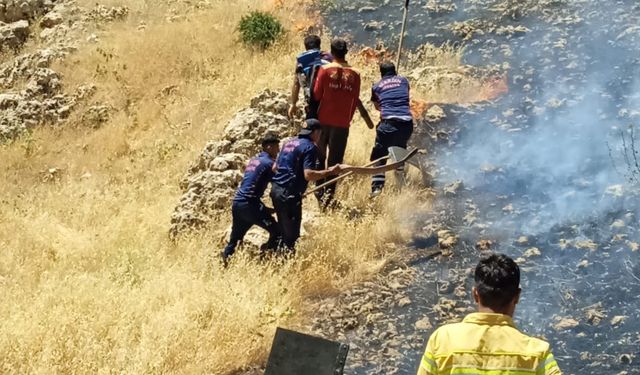 Çıkan örtü yangını ekiplerce kontrol altına alındı