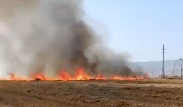 Mardin'in Kızıltepe ilçesinde korkutan yangın