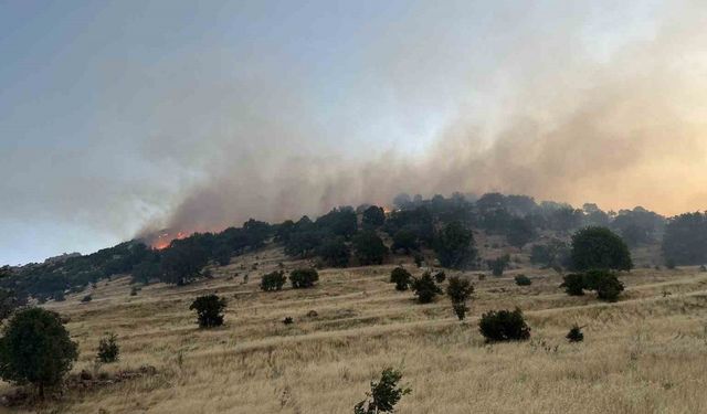 Ormanlık alanda çıkan yangın söndürüldü