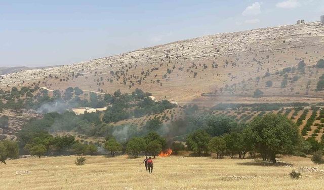 Mardin’deki orman yangını söndürüldü