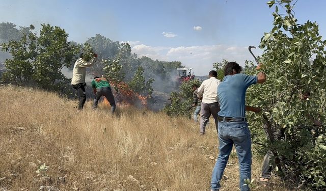 Mazıdağı’nda 20 dönüm ekili arazi küle döndü