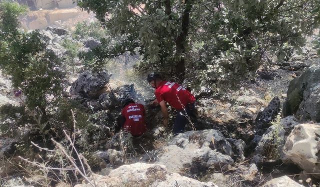 Adıyaman'da orman yangını güçlükle söndürüldü