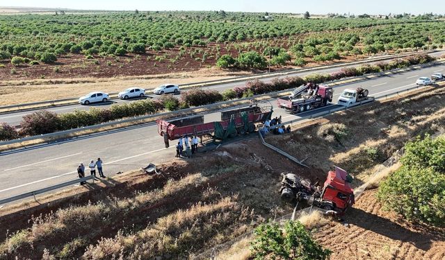 Kurbanlık boğaları taşıyan tır ile traktör çarpıştı