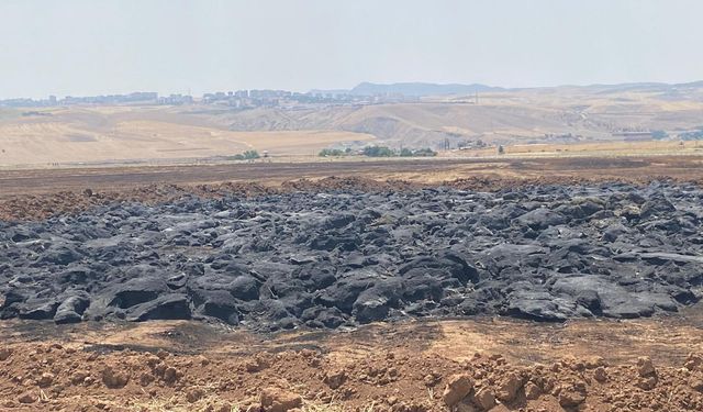 Yangını çıkan alanlarda hasar tespiti tamamlandı