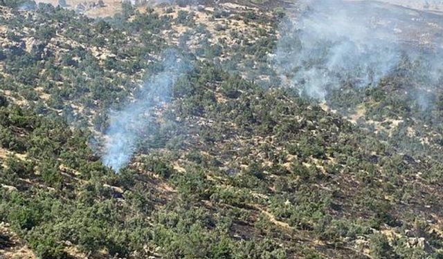 Siirt’teki orman yangını kontrol altına alındı