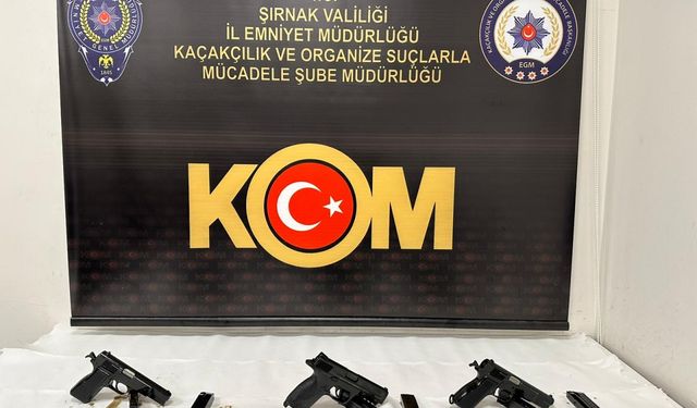 Şırnak'ta asayiş ve kaçakçılık operasyonlarında 2 zanlı tutuklandı