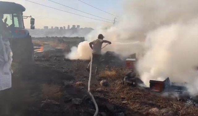 Çıkan yangında yüzlerce arı kovanı kül oldu