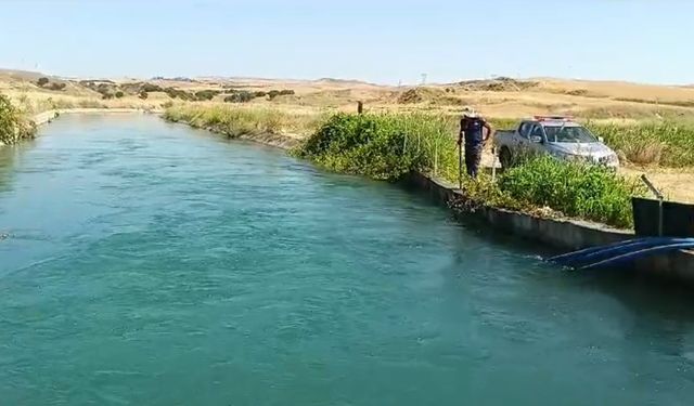 Sulama kanalında kaybolan çobanı arama çalışmaları sürüyor