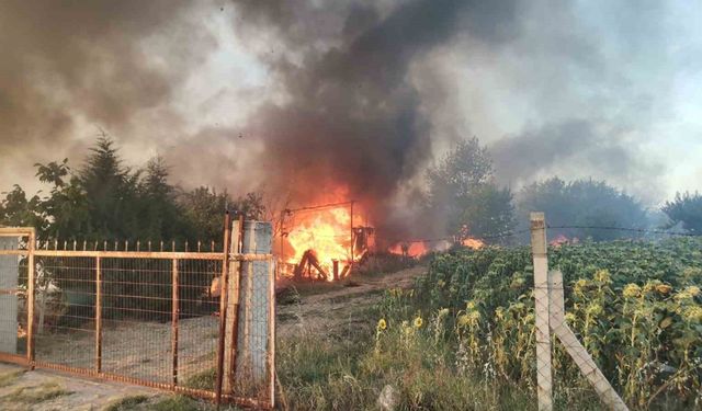 Yangın'da Bağ evi kullanılmaz hale geldi