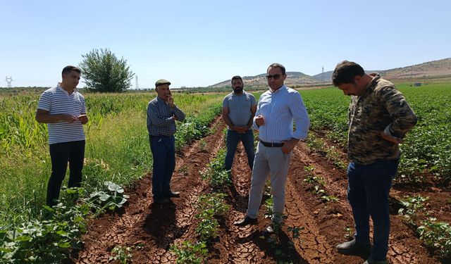 Kaymakam Partal, TEİAŞ Çalışmalarını İnceledi