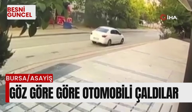 Göz göre göre otomobili çaldılar