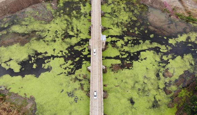 Su akışı durdu, Tunca Nehri yeşile döndü