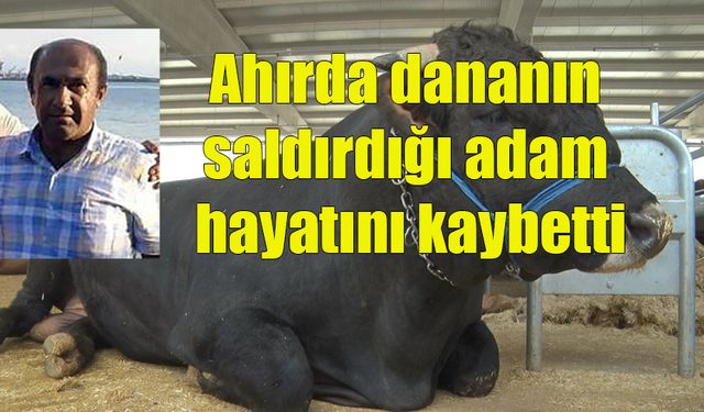 Ahırda dananın saldırdığı adam hayatını kaybetti