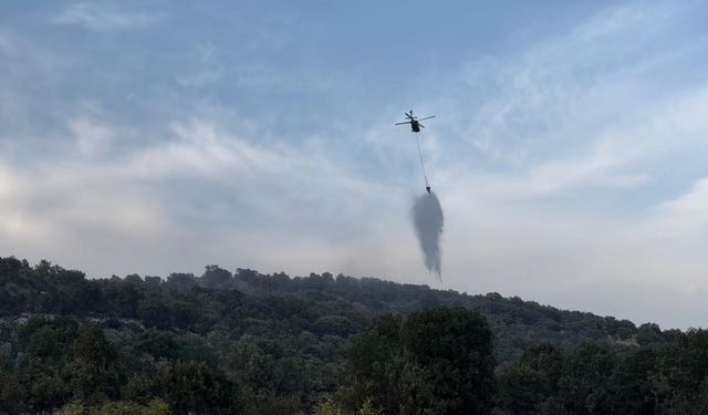 Orman yangınları helikopter desteğiyle kontrol altına alındı