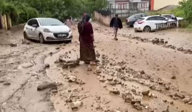 Bursa’da taşan dere araçları böyle önüne kattı