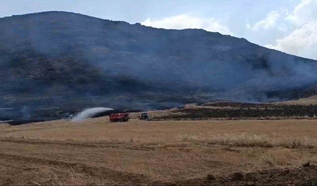 Anız yangını ormanlık alana zarar verdi