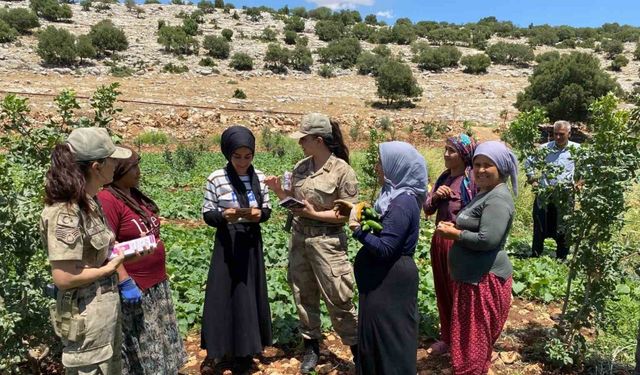 Jandarma KADES uygulamasını tanıttı