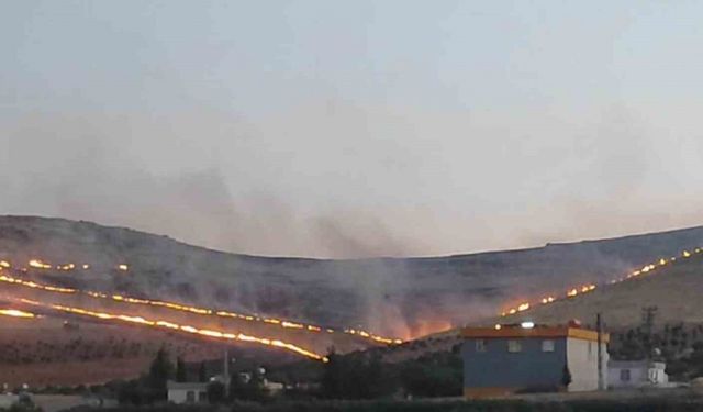 Göbeklitepe yakınlarında korkutan yangın