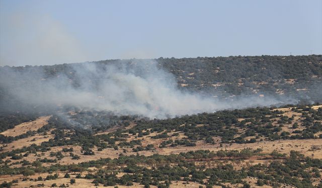 Kilis'te çıkan orman yangını söndürüldü