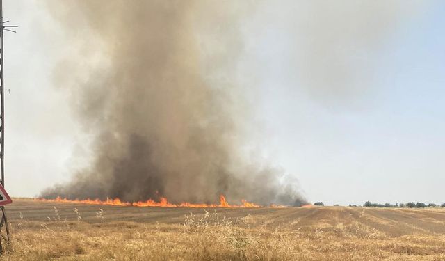 Adıyaman'da yerleşim alanına yakın çıkan yangın söndürüldü