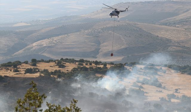 Kilis'te çıkan orman yangını kısmen kontrol altına alındı