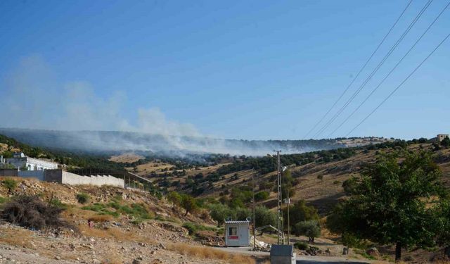 Kilis’te orman yangını: 50 dönüm arazi kül oldu