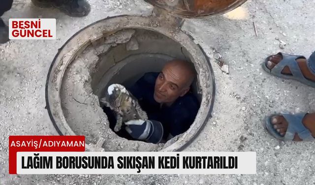 Lağım borusuna sıkışan kediyi itfaiye ekipleri kurtardı