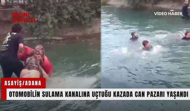 Otomobilin sulama kanalına uçtuğu kazada can pazarı yaşandı