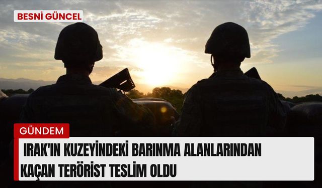 Barınma alanlarından kaçan terörist teslim oldu