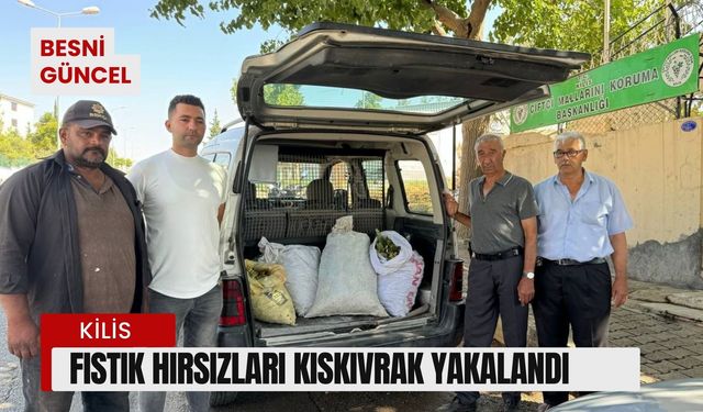 Fıstık hırsızları kıskıvrak yakalandı