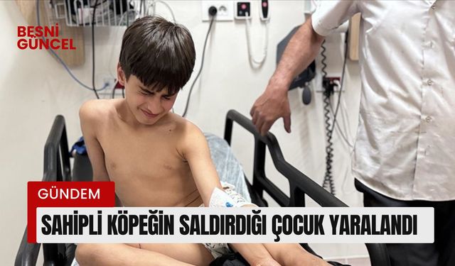 Sahipli köpeğin saldırdığı çocuk yaralandı