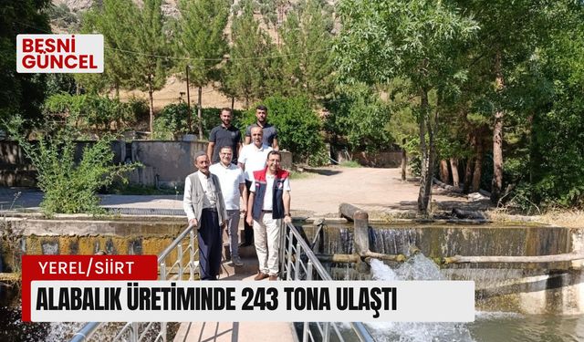 Alabalık üretiminde 243 tona ulaştı