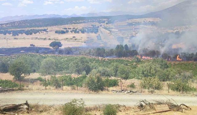 Üzüm bağları ve meyve ağaçları yangında zarar gördü