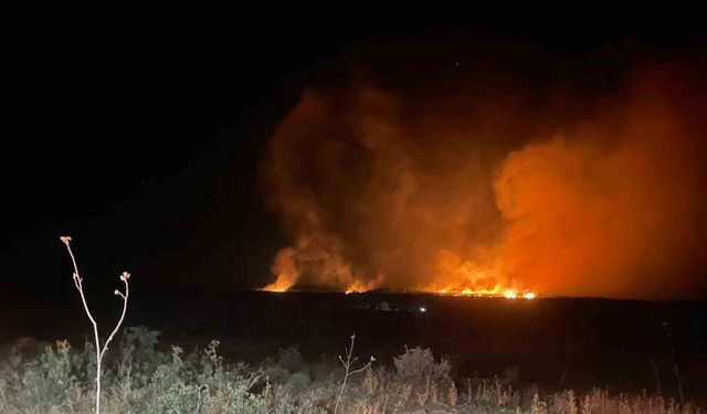 Lice’de gece başlayan orman yangını söndürüldü