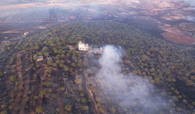 Adıyaman'daki orman yangını söndürüldü