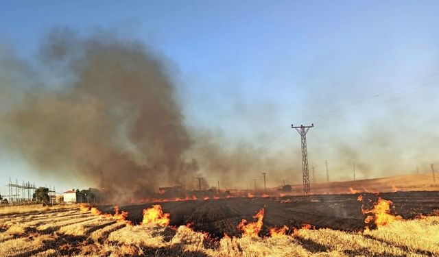 16 mahalle anız yüzünden elektriksiz kaldı