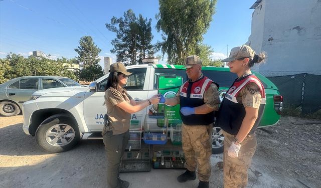 Şanlıurfa'da koruma altındaki kuşları kafeste besleyen kişiye 23 bin 322 lira para cezası